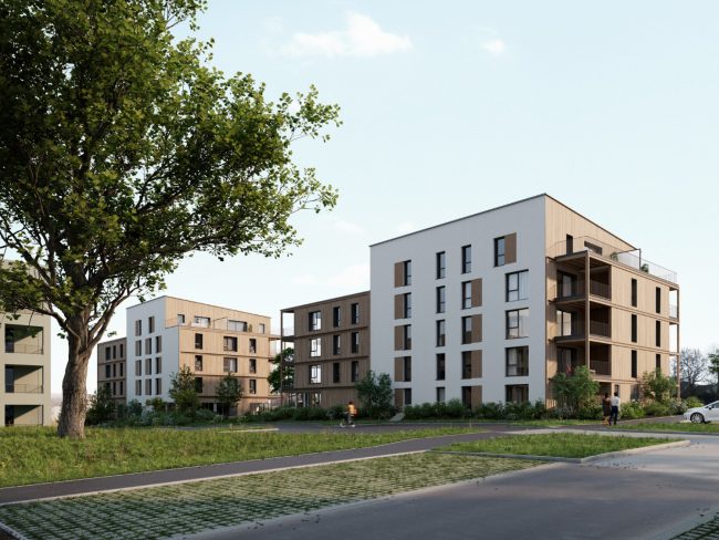Vue Nord